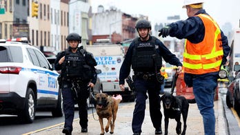 Writers in The Guardian, NBC, others trash plans to increase police presence following New York subway attack
