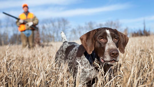 Woman 'shocked' to learn of mother's hunting past when she sees photo of mom holding a rifle