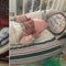 First-time VA mom, born a preemie herself, welcomes own micro-preemie daughter: ‘Full circle story’