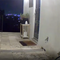 Mountain lion visits the same house in California multiple times