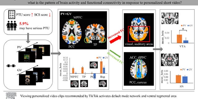 The NeuroImage study shows an inverse correlation between Problematic TikTok Use (PTU) and scores on a Self Control Scale (SCS). The researchers scanned the brains of heavy TikTok users as they watched algorithmically Personalized s (PV) on their feeds and compared it to the brains of people who have never used TikTok that watched Generalized s (GV) that lack user-specifc preference. Subjects who viewed PVs saw a statistically significant increase in activation of their mid-prefrontal cortex (MPFC) which is functionally disassociated with decision-making, self-knowledge, social cognition and moral judgment, and episodic memory.