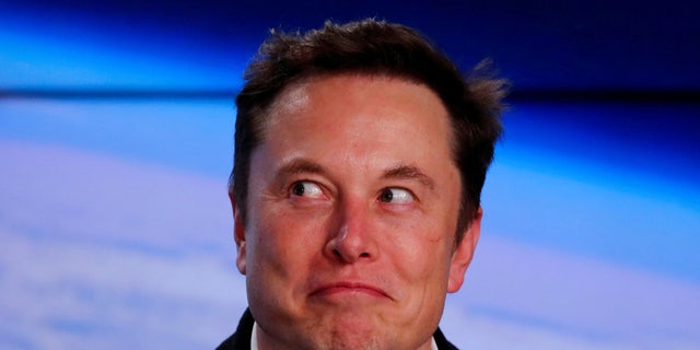 FILE PHOTO: SpaceX founder Elon Musk. REUTERS/Mike Blake/File Photo