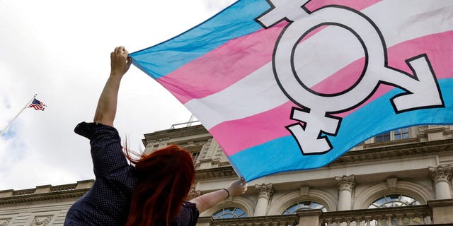 During a rally in New York City, a person is raising a transgender flag.