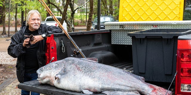 Eugene Cronley caught a 101-pound blue catfish on April 7 during a fishing trip to the Mississippi River near Natchez.