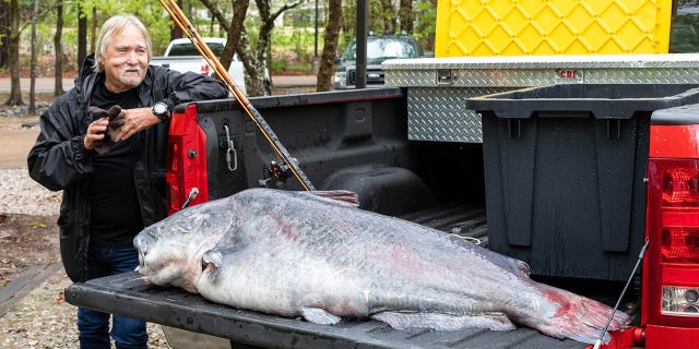 Eugene Cronley caught a 101-pound blue catfish on April 7 during a fishing trip to the Mississippi River near Natchez.