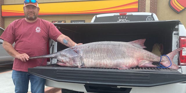 Chad Collins caught the 120-pound paddlefish, breaking the previous record by 10 pounds.