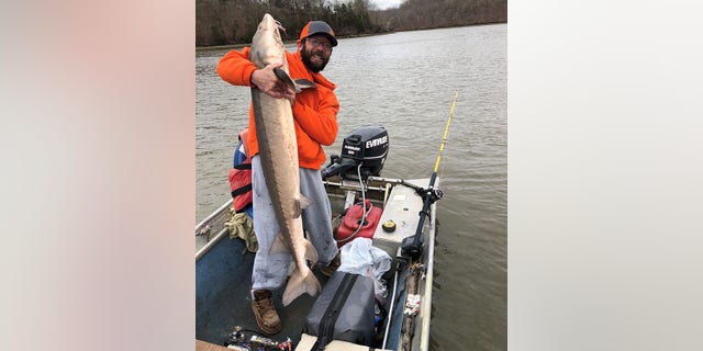 Tony Staggs reeled in a 50-pound lake sturgeon at the Lake of the Ozarks.