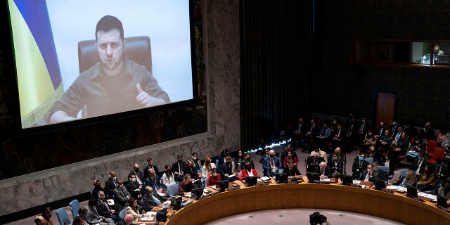 Ukrainian President Volodymyr Zelenskyy speaks via remote feed during a meeting of the UN Security Council, Tuesday, April 5, 2022, at United Nations headquarters.  Zelenskyy will address the U.N. Security Council for the first time Tuesday at a meeting that is certain to focus on what appear to be widespread deliberate killings of civilians by Russian troops. 