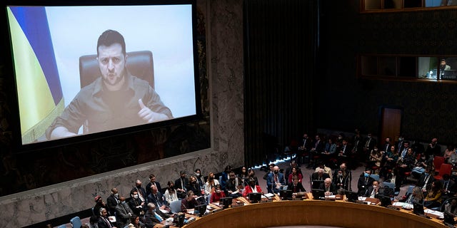 Ukrainian President Volodymyr Zelenskyy speaks via remote feed during a meeting of the UN Security Council, Tuesday, April 5, 2022, at United Nations headquarters.  Zelenskyy will address the U.N. Security Council for the first time Tuesday at a meeting that is certain to focus on what appear to be widespread deliberate killings of civilians by Russian troops. 