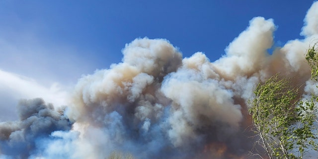 El humo de un incendio forestal azotado por el viento se eleva sobre los vecindarios en las afueras de Flagstaff, Arizona, el martes 19 de abril de 2022. Las casas en las afueras de Flagstaff fueron evacuadas el martes cuando los fuertes vientos azotaron un incendio forestal, cerraron una carretera principal y aviones de extinción de incendios en tierra.  (Sean Golightly/Arizona Daily Sun vía AP)