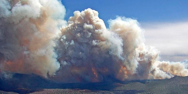 In this photo provided by the Coconino National Forest, the Tunnel Fire burns near Flagstaff, Ariz., on Tuesday, April 19, 2022. (Coconino National Forest via AP)