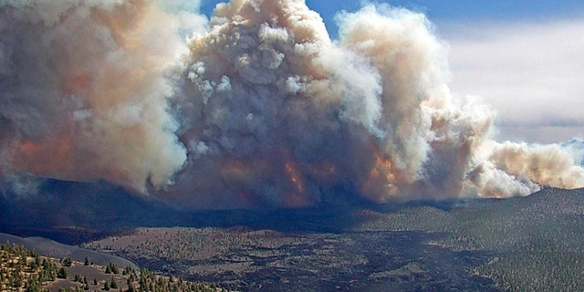 In this photo provided by the Coconino National Forest, the Tunnel Fire burns near Flagstaff, Ariz., on Tuesday, April 19, 2022. (Coconino National Forest via AP)