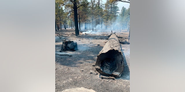 In this photo provided by the National Park Service, fallen trees smolder after a wildfire at Sunset Crater Volcano National Monument in Arizona, Wednesday, April 20, 2022. Winds are expected to intensify through the end of the week as firefighters battle blazes across the Southwest. Resources are tight, and fire managers are scrambling to get crews on board. 