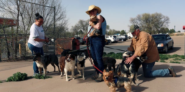 Maria Elena Valdez, left, a volunteer at a fire escape shelter in northeastern New Mexico, helps Maggie Mulligan, center, and Brad Gombas walk and water nine of their dogs at the Outside the shelter Friday, April 22, 2022, in Las Vegas, NM Mulligan and Gombas, of the Ledoux countryside fled their ranch but had to leave their horses behind and they don't know when they will be able to return.  Mulligan, a dog breeder, had 5 puppies in the back of her SUV.