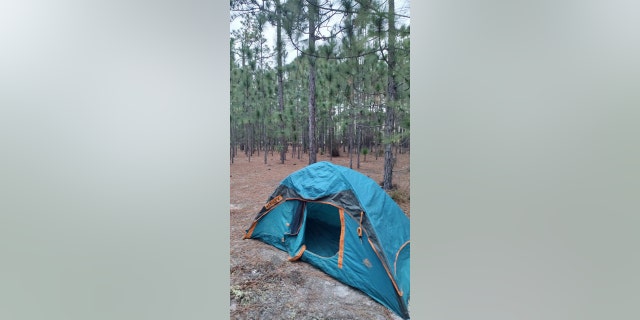 "You can just walk into the forest and you’ve got the pine needle floor, which is soft, and you set up camp, and you’re good to go," Barnes told Fox News Digital. 