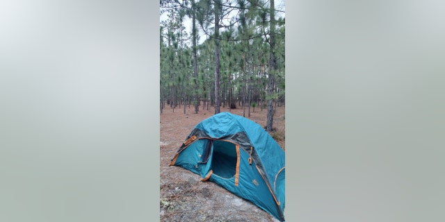 "You can just walk into the forest and you’ve got the pine needle floor, which is soft, and you set up camp, and you’re good to go," Barnes told Fox News Digital.
