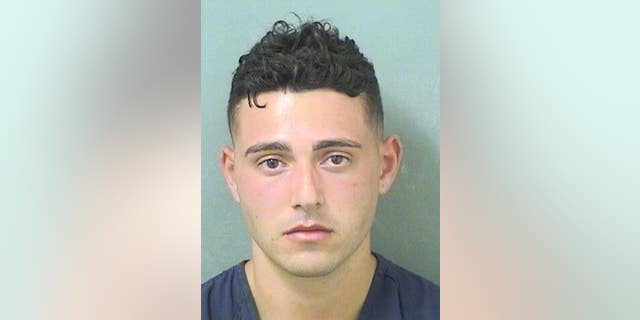 Cole Goldberg, the boyfriend of "90 Day Fiancé: Happily Ever After?" star, Caroline Schwitzky, is accused of trying to strangle and drown her in Florida.