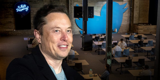 An image of Elon Musk is juxtaposed with employees at tables inside Twitter headquarters in San Francisco on March 17, 2022. 