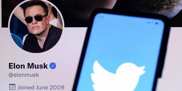 A photo of the Twitter logo in front of Elon Musk's official Twitter page.