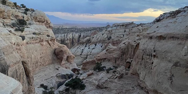 Arlo Lott, 41, of Steamboat Springs, Colorado, fell approximately 70 feet Saturday after his rappel anchor broke loose from a cliff.