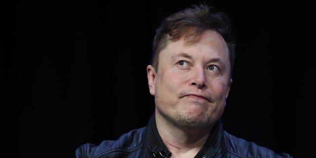 Elon Musk McNamee/Getty Images)