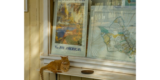 A cat relaxes on a storefront windowsill in Hanapepe on the island of Kauai, Hawaii, on Dec. 14, 2012. (Photo by Wolfgang Kaehler/LightRocket via Getty Images)