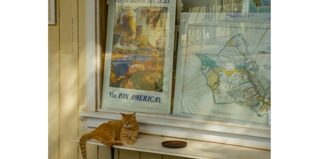 A cat relaxes on a storefront windowsill in Hanapepe on the island of Kauai, Hawaii, on Dec. 14, 2012. (Photo by Wolfgang Kaehler/LightRocket via Getty Images)