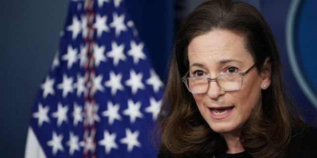 Executive Director of the Gender Policy Council Jennifer Klein speaks during the daily briefing in the Brady Briefing Room of the White House in Washington, D.C., March 8, 2021.