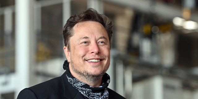 Tesla CEO Elon Musk (Photo by Patrick Pleul / photo of the alliance via Getty Images)