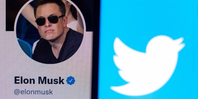 この写真のイラストでは、イーロン マスクの公式 Twitter プロフィールが表示されたスマートフォンに Twitter のロゴが表示されています。 億万長者のイーロン マスクは、30 億米ドルを投資して Twitter の 9% を購入しました。 (Getty Images経由のRafael Henrique/SOPA Images/LightRocketによる写真イラスト)