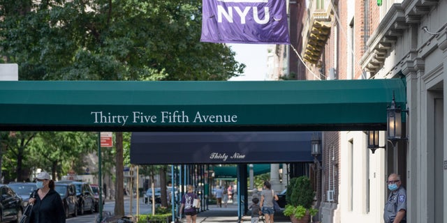 NYU tour egg bombarded as homeless people continually harass bands in Greenwich Village