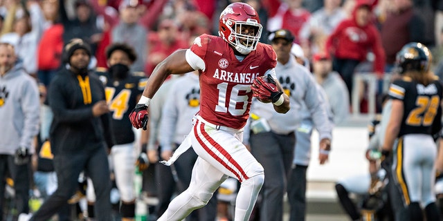 Treylon Burks n. 16 of the Arkansas Razorbacks receives a pass for a touchdown during a game against the Missouri Tigers at Donald W. Reynolds Razorback Stadium on November 26, 2021 in Fayetteville, Arkansas. The Razorbacks defeated the Tigers 34-17. 