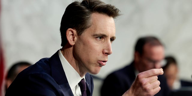 Sen. Josh Hawley, R-Mo., has accused the Biden administration of not enforcing federal immigration law. 