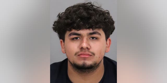 Isaac Anthony Guzman, 19, faces charges of assault with a deadly weapon on an officer, felony hit-and-run and possession of a privately made firearm.
