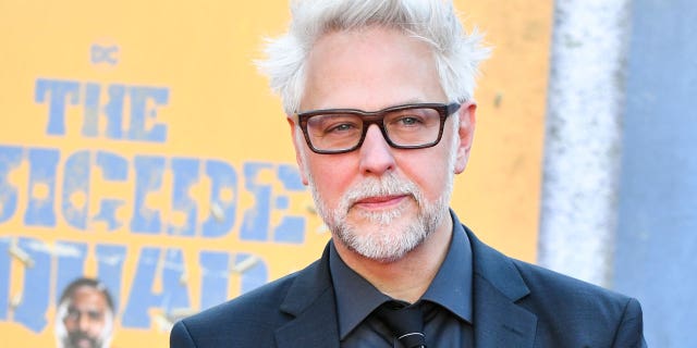James Gunn was fired by Disney after tweets he wrote about rape, pedophilia, 9/11 and child abuse resurfaced. The director apologized for his tweets and was later reinstated.