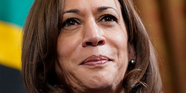 FILE - Vice President Kamala Harris meets with Tanzanian President Samia Suluhu Hassan in Harris' ceremonial office in the Eisenhower Executive Office Building on the White House campus, April 15, 2022, in Washington.