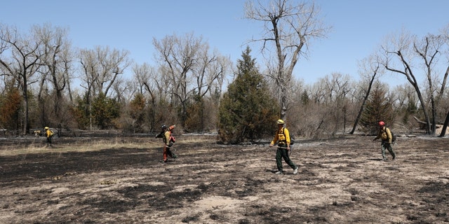 Firefighters from Elk Creek Fire Protection District in Colorado, along with Nebraska National Guard firefighters, grid and mop up hot spots in Division Bravo of the Road 702 Fire on Thursday, April 28, 2022.