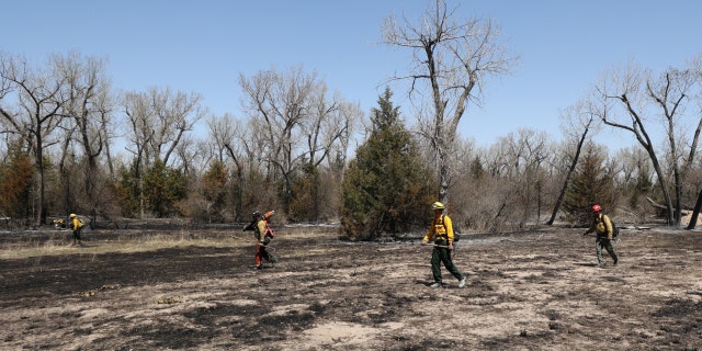 Firefighters from Elk Creek Fire Protection District in Colorado, along with Nebraska National Guard firefighters, grid and mop up hot spots in Division Bravo of the Road 702 Fire on Thursday, April 28, 2022.