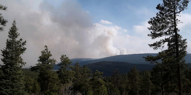 The Calf Canyon fire burns in mountains south of Mora, New Mexico, U.S. April 25, 2022. Picture taken April 25, 2022. 