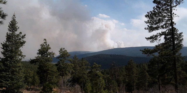 The Calf Canyon fire burns in mountains south of Mora, New Mexico, U.S. April 25, 2022. Picture taken April 25, 2022. 