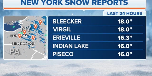 New York snow reports