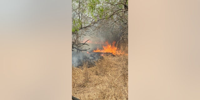 Suppression efforts in the Borrega Fire