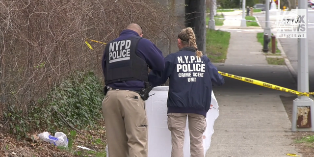 The NYPD secures and investigates the scene of the murder of Orsolya Gaal