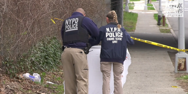 The NYPD secures and investigates the scene of the murder of Orsolya Gaal