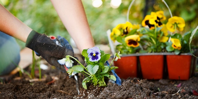 Planning out your garden before getting started can help save you from a lot of headaches and uncertainty down the road.