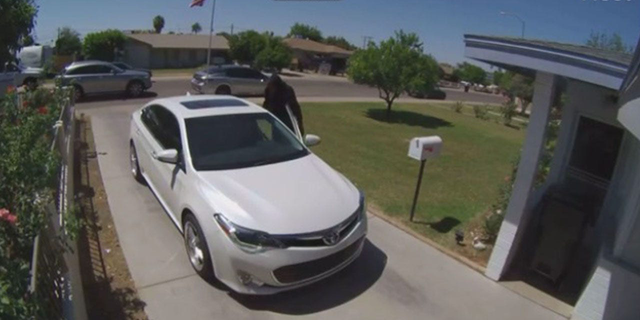 Surveillance footage shows an Arizona man robbing an elderly woman at gunpoint in her driveway after following her home.