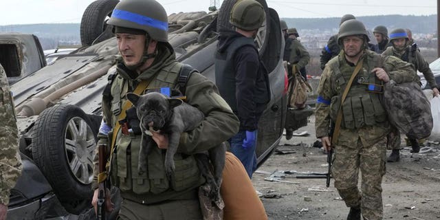 A Ukrainian soldier carries a dog saved from under the ruins of houses destroyed by the Russian forces in Irpin close to Kyiv, Ukraine, Thursday, March 31, 2022.