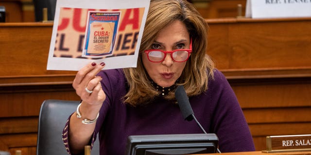 U.S. Rep Maria Elvira Salazar (R-FL) asks questions of Secretary of State Antony Blinken as he testifies before the House Committee on Foreign Affairs on The Biden Administration's Priorities for U.S. Foreign Policy on Capitol Hill in Washington, U.S., March 10, 2021. Ken Cedeno/Pool via REUTERS