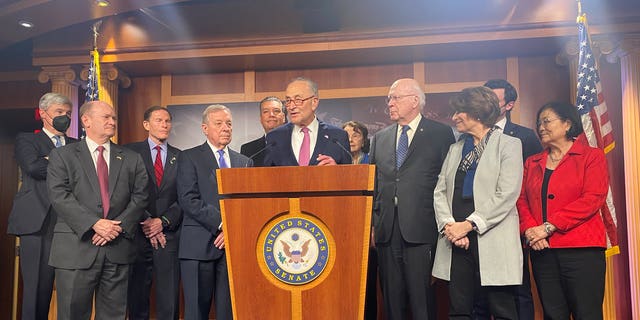 Senate Majority Leader Chuck Schumer, D-N.Y., speaks to media alongside members of the Senate Judiciary Committee after Judge Ketanji Brown Jackson was confirmed to the Supreme Court April 7, 2021.