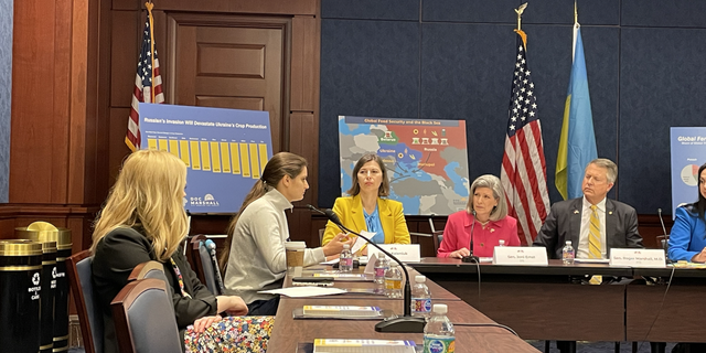 Maria Berlinska, a Ukrainian military volunteer and women's rights advocate, said that Russian propaganda is an attack on "our democracies, our free people." (Kelly Laco/Fox News Digital)